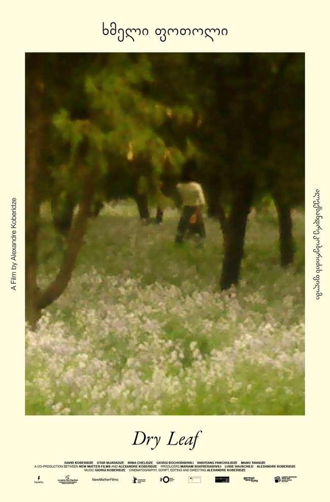 ხმელი ფოთოლი