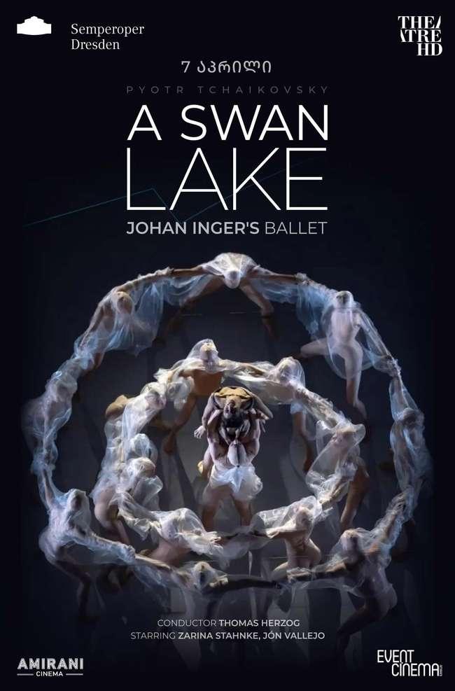 A Swan Lake
